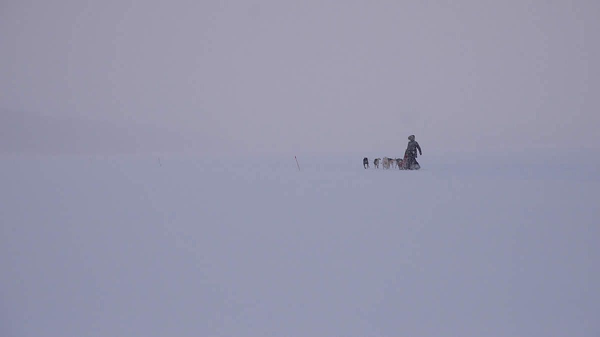 Immagine di Sotto il cielo artico in attesa dell'aurora boreal